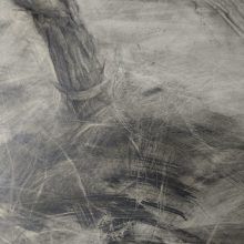 Detalle Dibujo Cepa 1 lápiz grafito por Jaime M Arribas