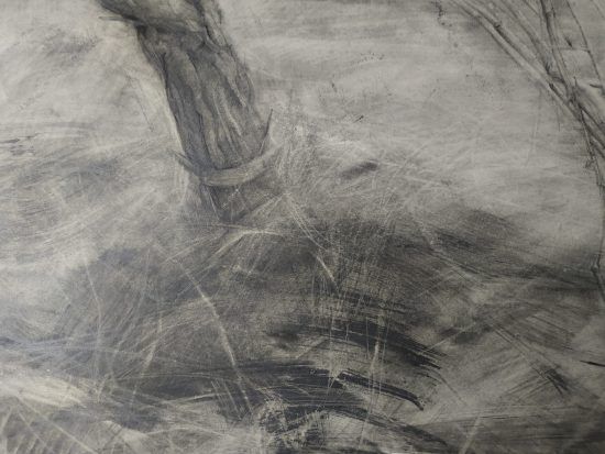 Detalle Dibujo Cepa 1 lápiz grafito por Jaime M Arribas