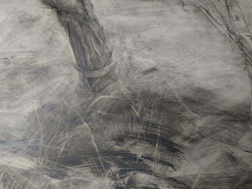 Detalle Dibujo Cepa 1 lápiz grafito por Jaime M Arribas