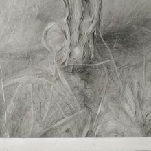 Dibujo Cepa 2 grafito sobre papel por Jaime M Arribas
