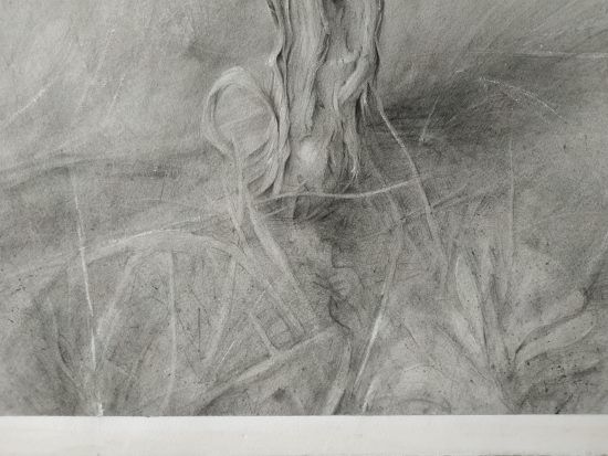 Detalle Dibujo Cepa 2 lápiz grafito sobre papel por Jaime M Arribas